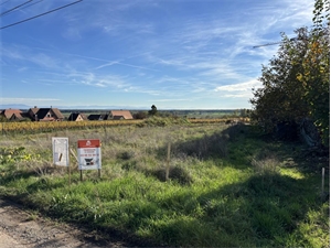 terrain à la vente -   67680  EPFIG, surface 742 m2 vente terrain - UBI465081872